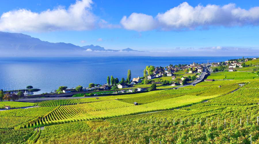 ¿Cuáles son las opciones de vehículos más populares en Montreux?